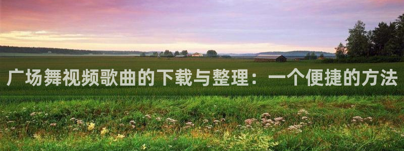 广场舞视频歌曲的下载与整理：一个便捷的方法