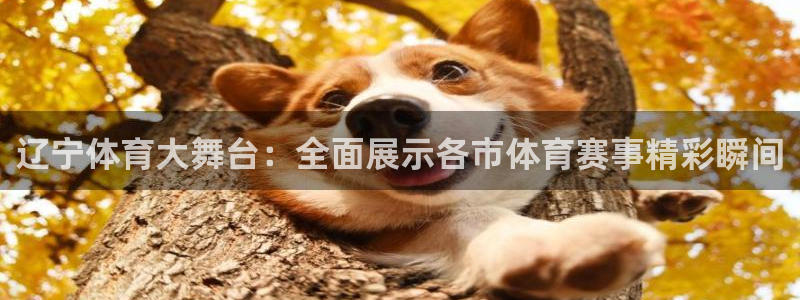 辽宁体育大舞台：全面展示各市体育赛事精彩瞬间