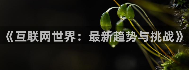 《互联网世界：最新趋势与挑战》
