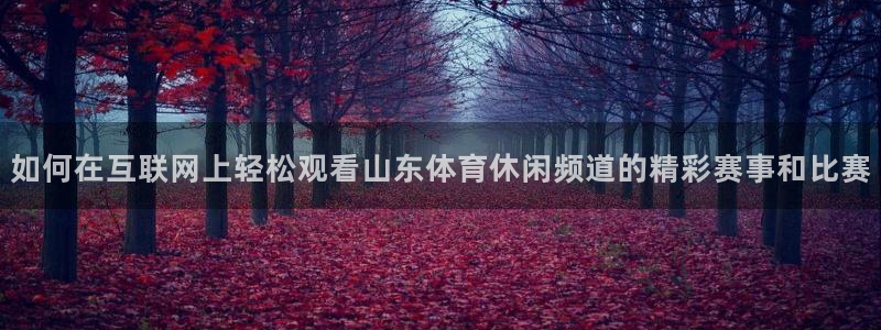 如何在互联网上轻松观看山东体育休闲频道的精彩赛事和比赛