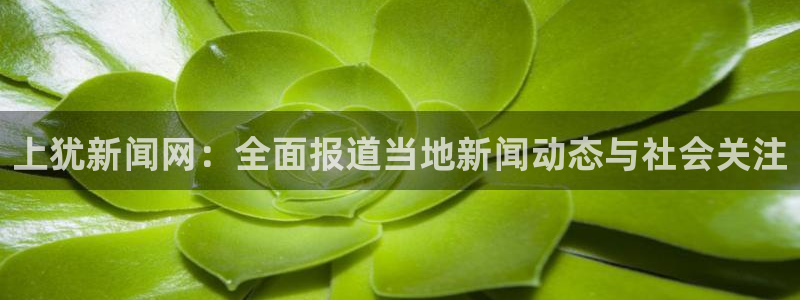 上犹新闻网：全面报道当地新闻动态与社会关注