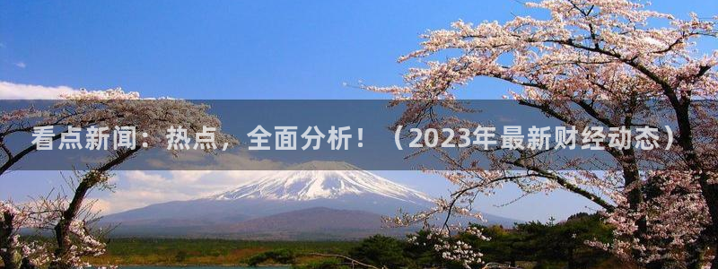 看点新闻：热点，全面分析！（2023年最新财经动态）