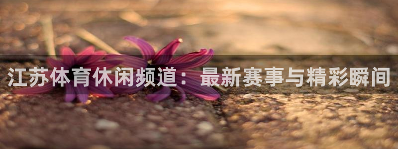 江苏体育休闲频道：最新赛事与精彩瞬间