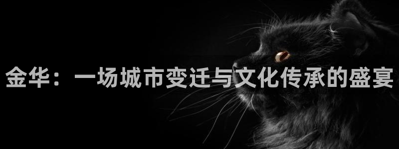 金华：一场城市变迁与文化传承的盛宴