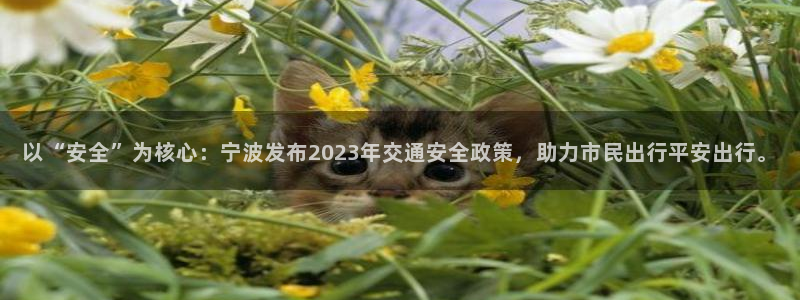 以“安全”为核心：宁波发布2023年交通安全政策，助力市民出行平安出行。