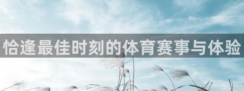 恰逢最佳时刻的体育赛事与体验