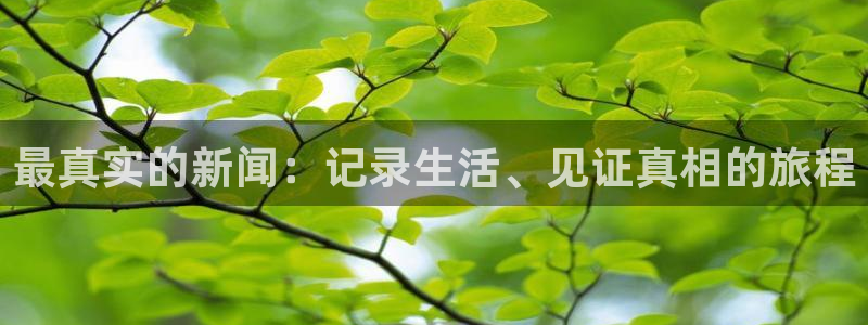 最真实的新闻：记录生活、见证真相的旅程