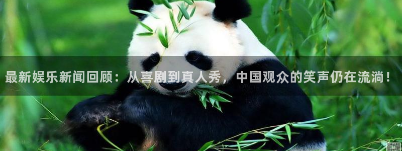 最新娱乐新闻回顾：从喜剧到真人秀，中国观众的笑声仍在流淌！