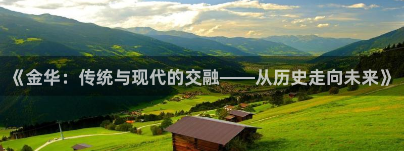 《金华：传统与现代的交融——从历史走向未来》