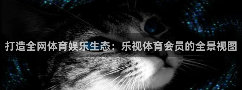 打造全网体育娱乐生态：乐视体育会员的全景视图