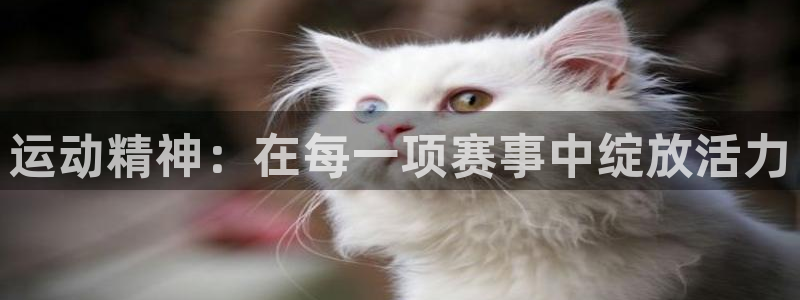 运动精神：在每一项赛事中绽放活力