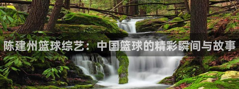 陈建州篮球综艺：中国篮球的精彩瞬间与故事