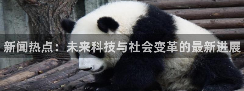 新闻热点：未来科技与社会变革的最新进展