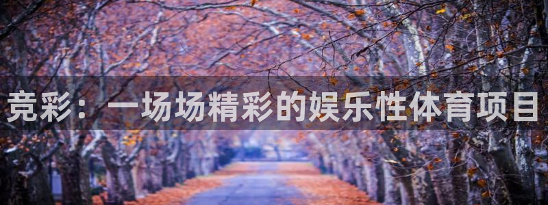 竞彩：一场场精彩的娱乐性体育项目