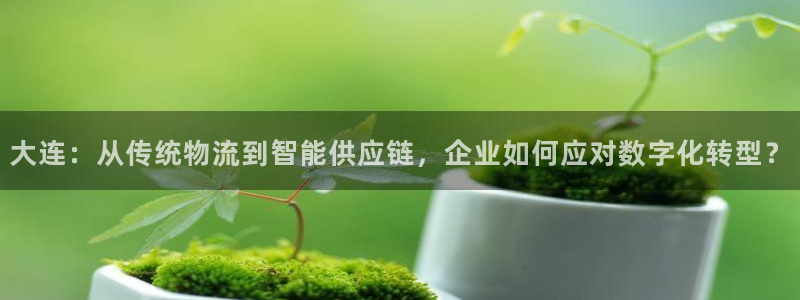 大连：从传统物流到智能供应链，企业如何应对数字化转型？
