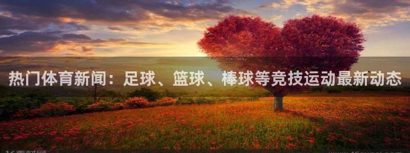 热门体育新闻：足球、篮球、棒球等竞技运动最新动态