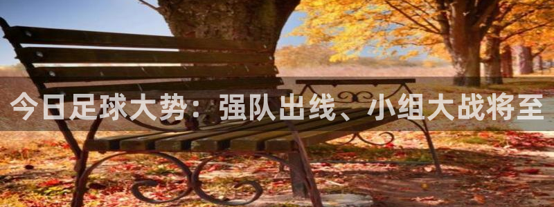 今日足球大势：强队出线、小组大战将至