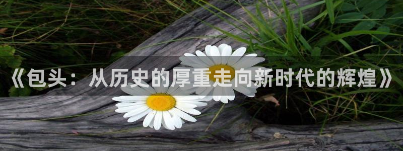 《包头：从历史的厚重走向新时代的辉煌》