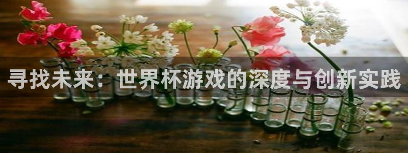 寻找未来：世界杯游戏的深度与创新实践