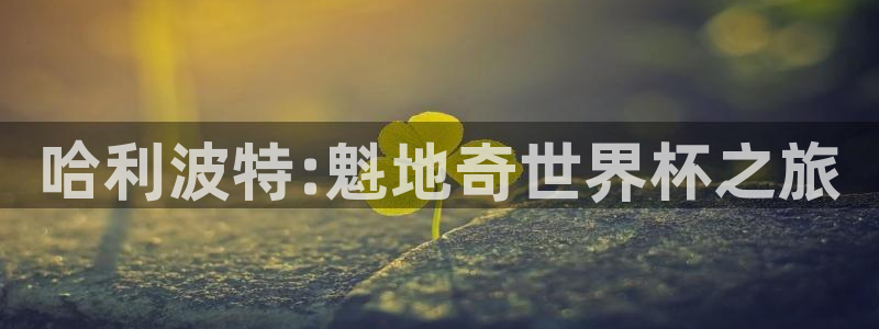 哈利波特:魁地奇世界杯之旅