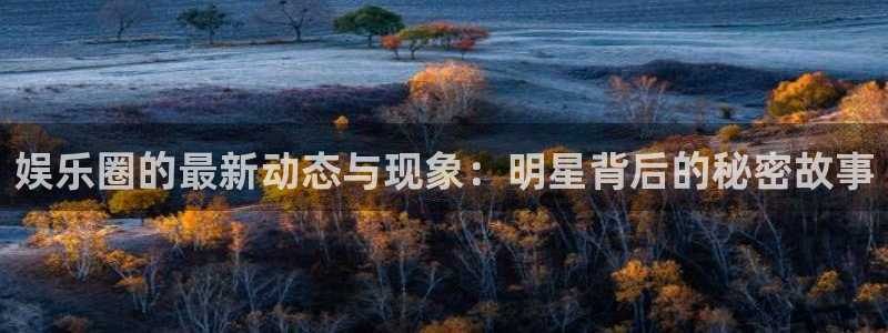 娱乐圈的最新动态与现象：明星背后的秘密故事