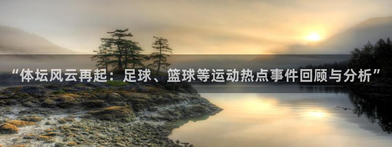 “体坛风云再起：足球、篮球等运动热点事件回顾与分析”