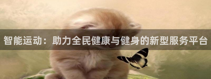 智能运动：助力全民健康与健身的新型服务平台
