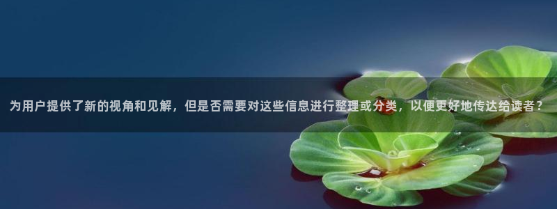 为用户提供了新的视角和见解，但是否需要对这些信息进行整理或分类，以便更好地传达给读者？