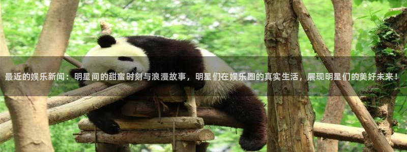 最近的娱乐新闻：明星间的甜蜜时刻与浪漫故事，明星们在娱乐圈的真实生活，展现明星们的美好未来！
