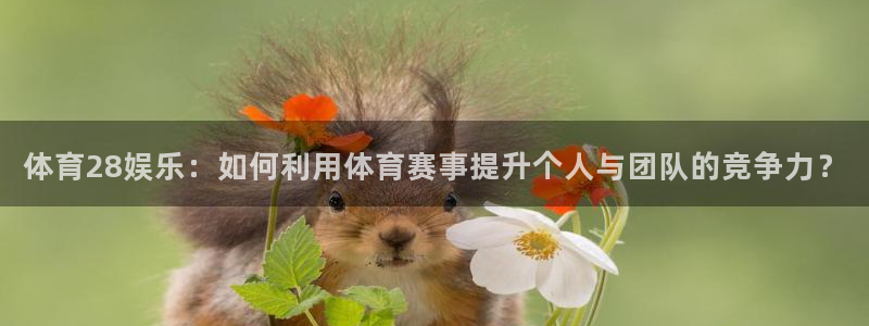 体育28娱乐：如何利用体育赛事提升个人与团队的竞争力？