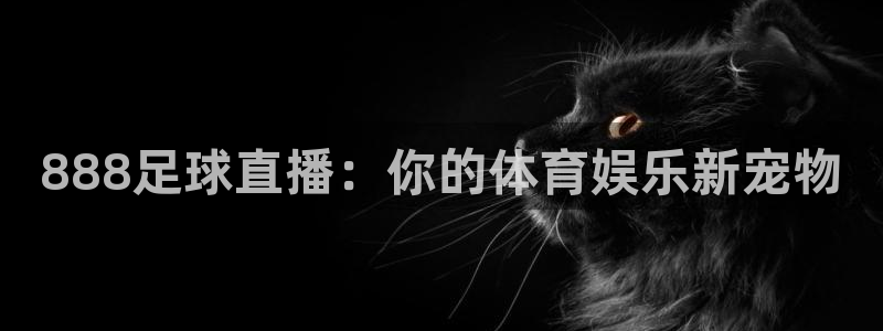 888足球直播：你的体育娱乐新宠物