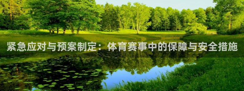 紧急应对与预案制定：体育赛事中的保障与安全措施