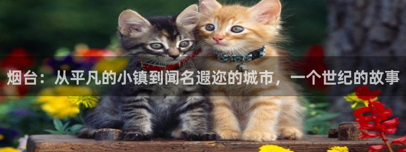 烟台：从平凡的小镇到闻名遐迩的城市，一个世纪的故事
