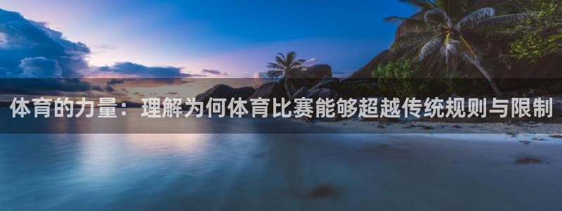 体育的力量：理解为何体育比赛能够超越传统规则与限制