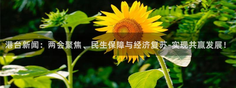 港台新闻：两会聚焦、民生保障与经济复苏-实现共赢发展！