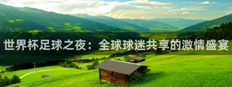 世界杯足球之夜：全球球迷共享的激情盛宴