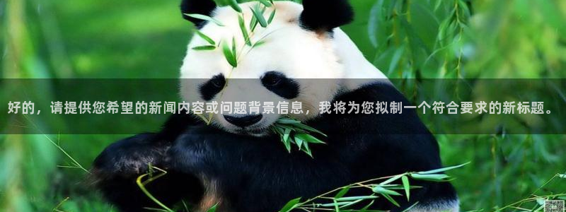 好的，请提供您希望的新闻内容或问题背景信息，我将为您拟制一个符合要求的新标题。