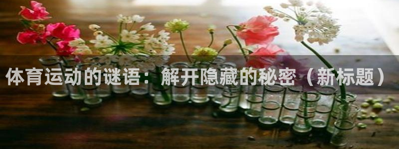 体育运动的谜语：解开隐藏的秘密（新标题）