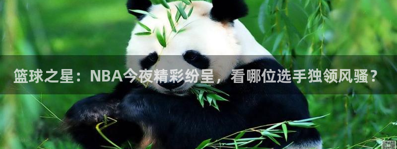 篮球之星：NBA今夜精彩纷呈，看哪位选手独领风骚？