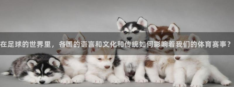 在足球的世界里，各国的语言和文化和传统如何影响着我们的体育赛事？