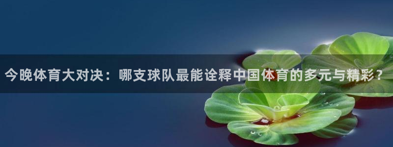 今晚体育大对决：哪支球队最能诠释中国体育的多元与精彩？