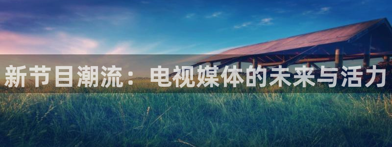 新节目潮流：电视媒体的未来与活力