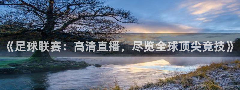 《足球联赛：高清直播，尽览全球顶尖竞技》