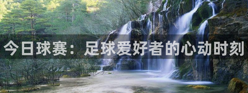 今日球赛：足球爱好者的心动时刻