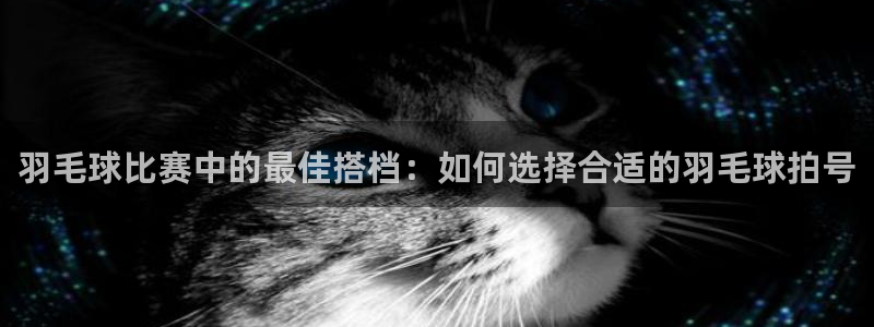 羽毛球比赛中的最佳搭档：如何选择合适的羽毛球拍号