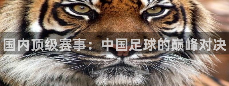 国内顶级赛事：中国足球的巅峰对决