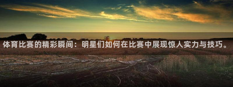 体育比赛的精彩瞬间：明星们如何在比赛中展现惊人实力与技巧。