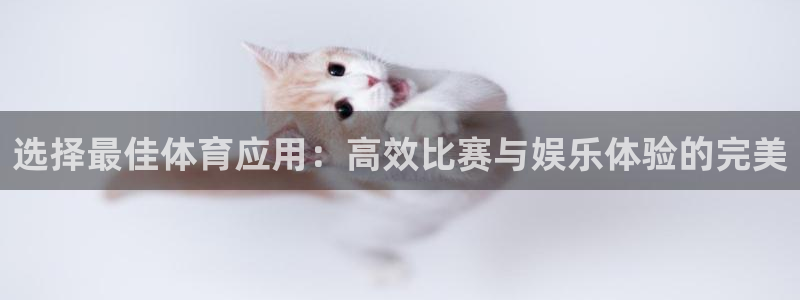 选择最佳体育应用：高效比赛与娱乐体验的完美