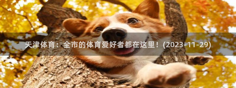 天津体育：全市的体育爱好者都在这里！(2023-11-29)
