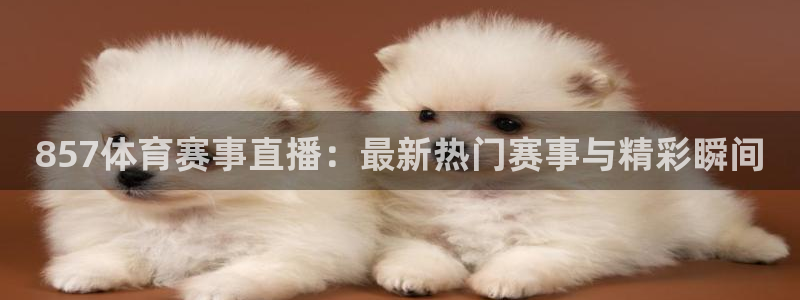 857体育赛事直播：最新热门赛事与精彩瞬间